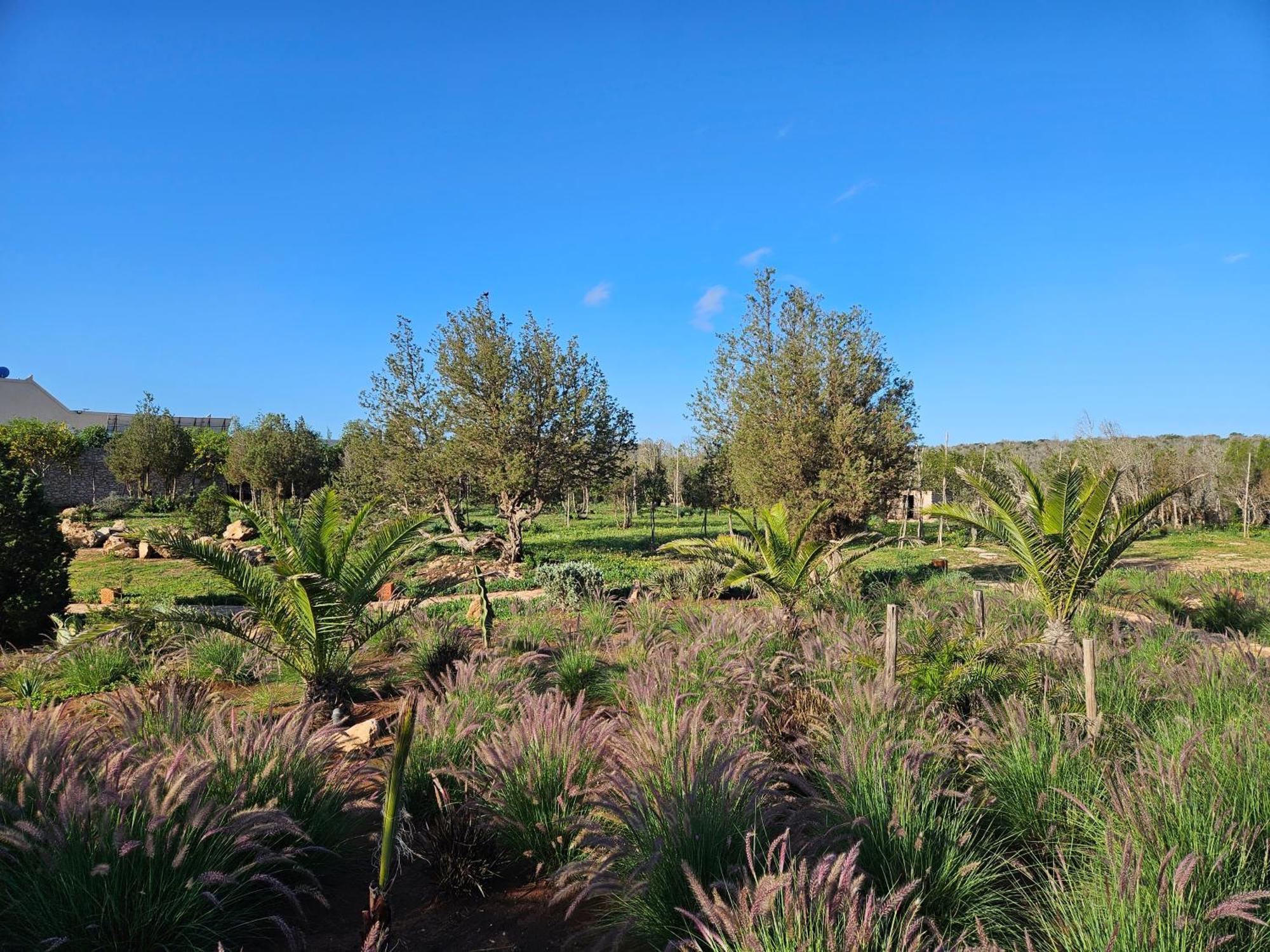 Le Clos De La Roussiere Εσαουίρα Εξωτερικό φωτογραφία