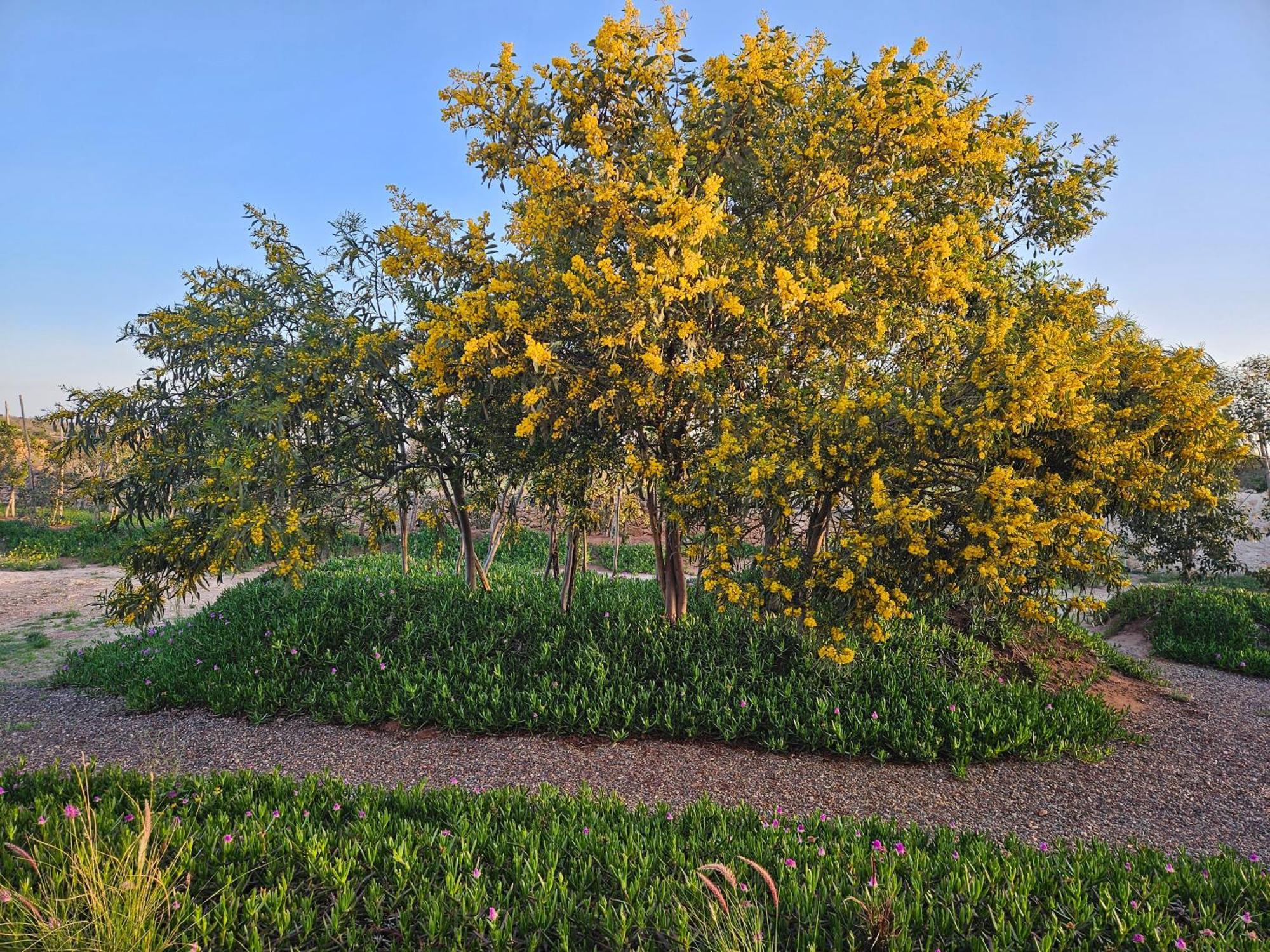 Le Clos De La Roussiere Εσαουίρα Εξωτερικό φωτογραφία