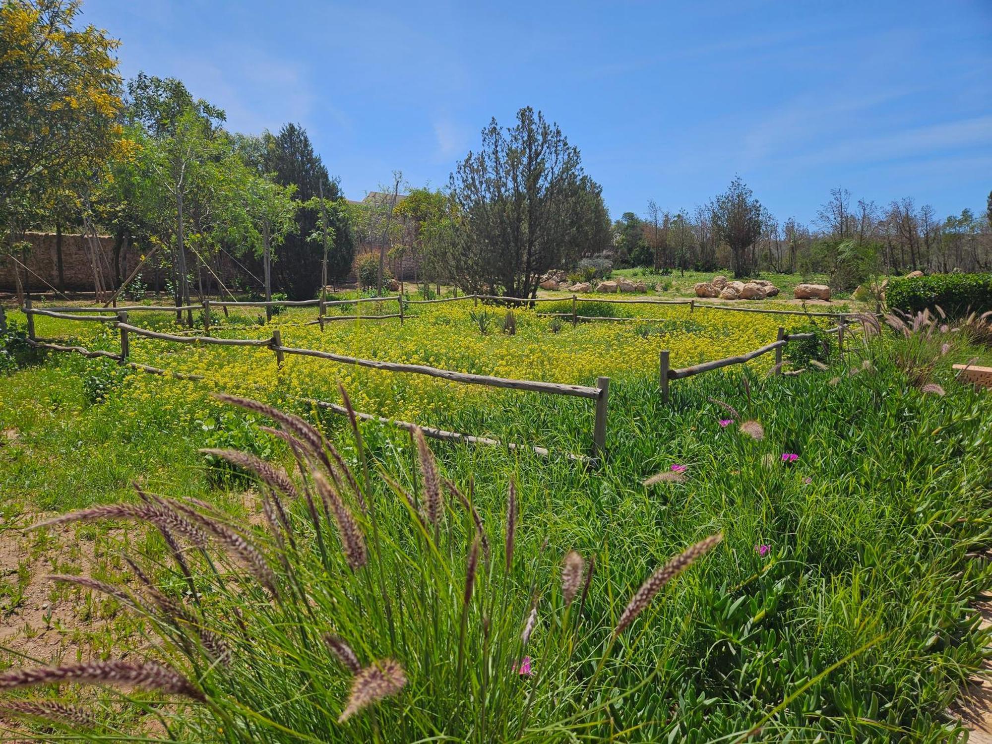 Le Clos De La Roussiere Εσαουίρα Εξωτερικό φωτογραφία